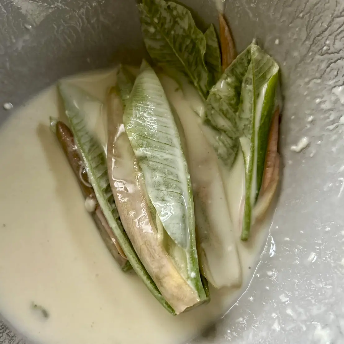 写真挿入位置：生の朴葉（調理前）