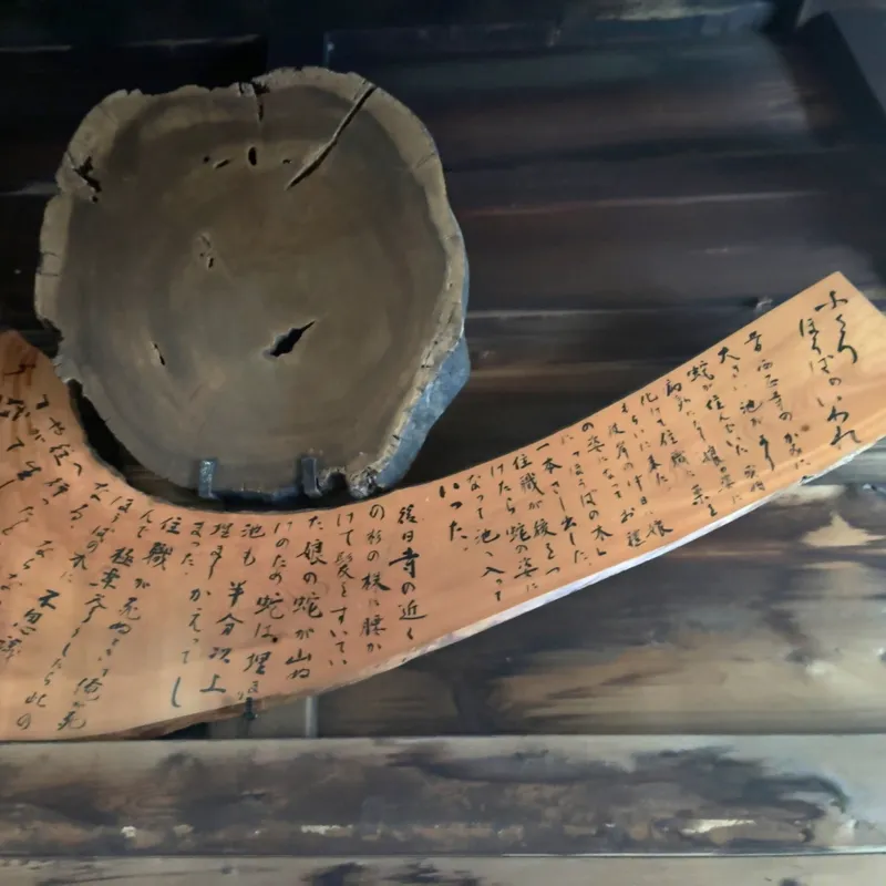 本堂内のフクロホウバ