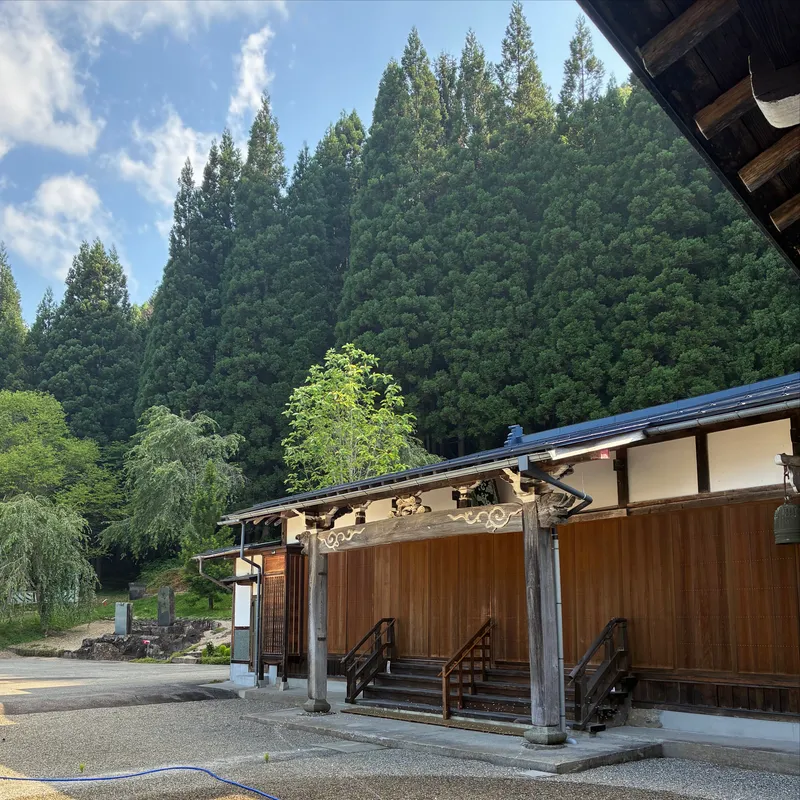 本堂とホオノキ