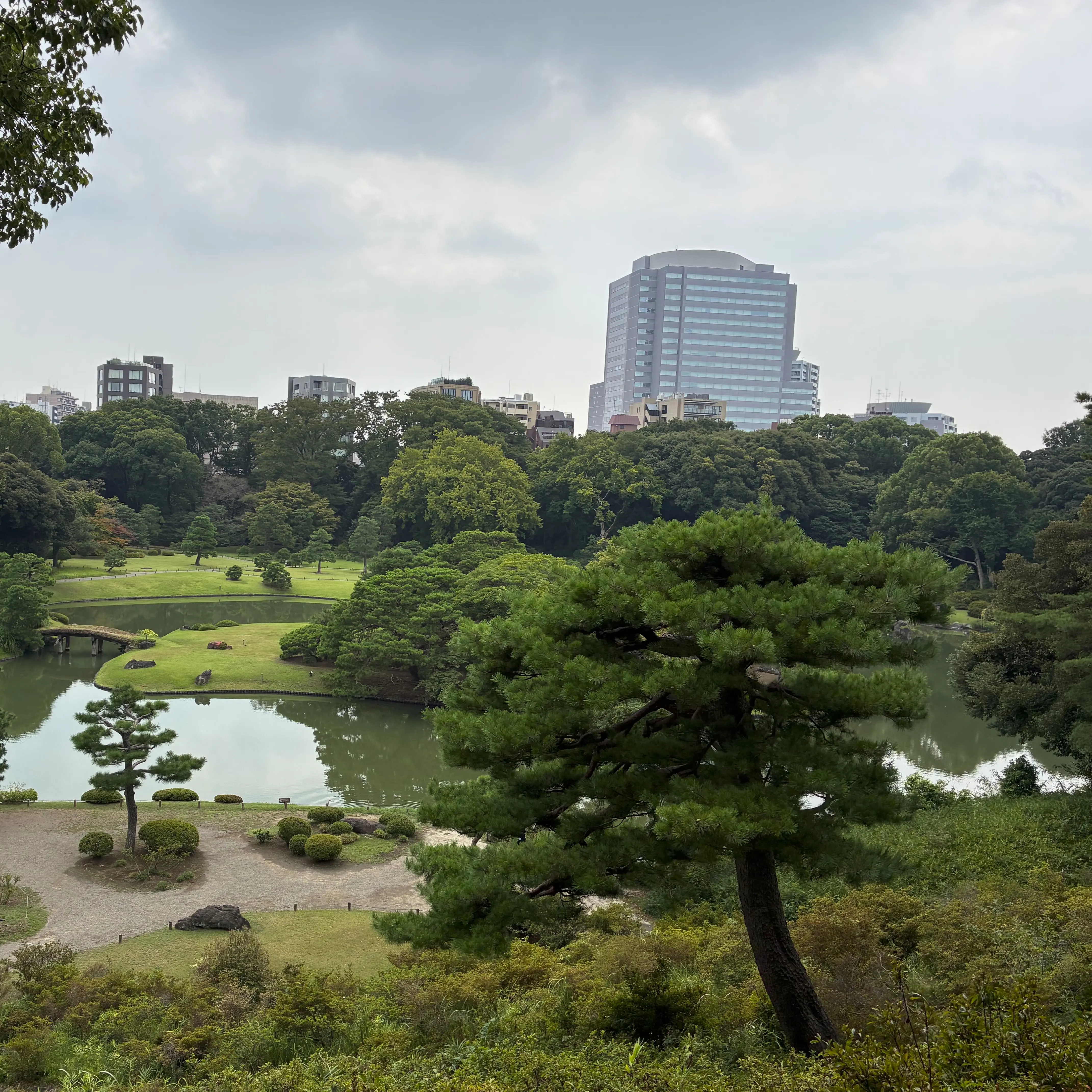 六義園の風景