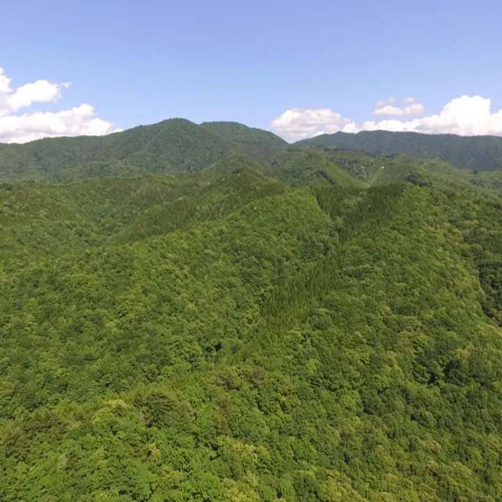 カーボンクレジットの対象となりそうな山