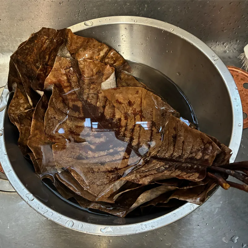 水に浸した朴葉