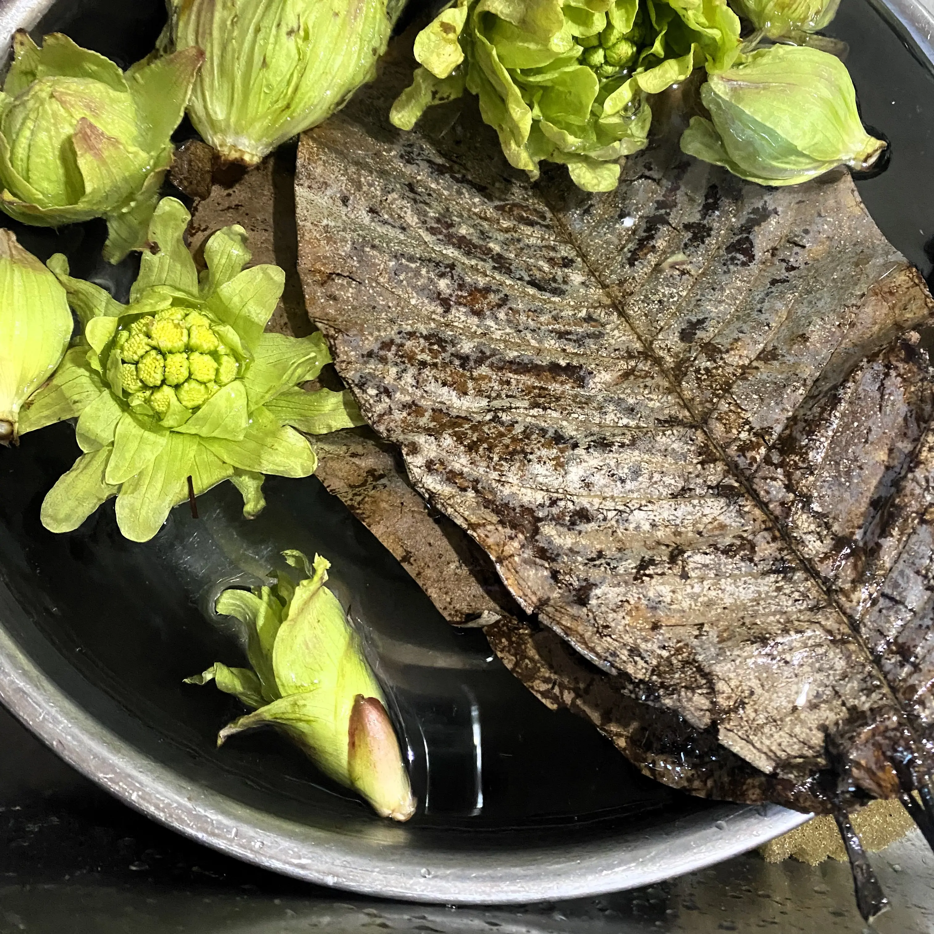 朴葉とふきのとう